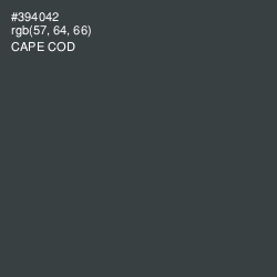 #394042 - Cape Cod Color Image